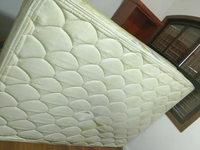 Cama box