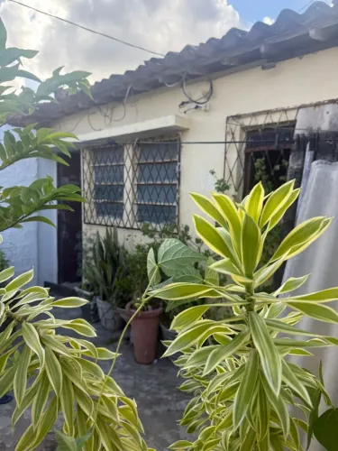 Vendo ótima casa próxima a feira de oitizeiro 