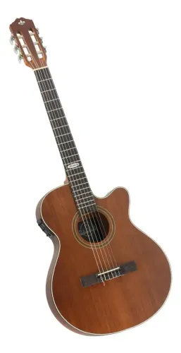 Violão Strinberg SL200C