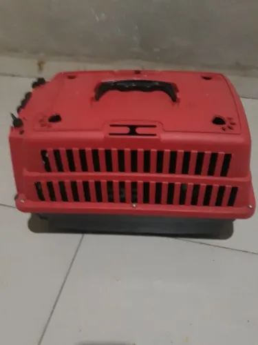 Casinha cachorro