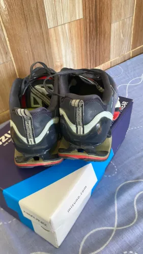Mizuno wave prophecy x