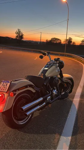 Harley Davidson Fat Boy Low/Special