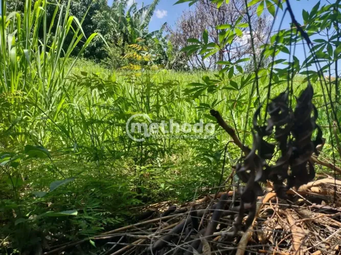 Terreno à venda - Jardim Guarani - Campinas/SP