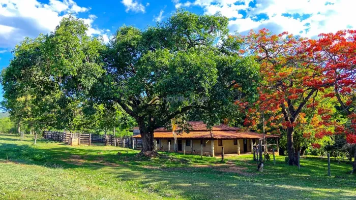 Fazenda à venda Serra do Barracão, sentido Caldas Novas - Araguari-MG