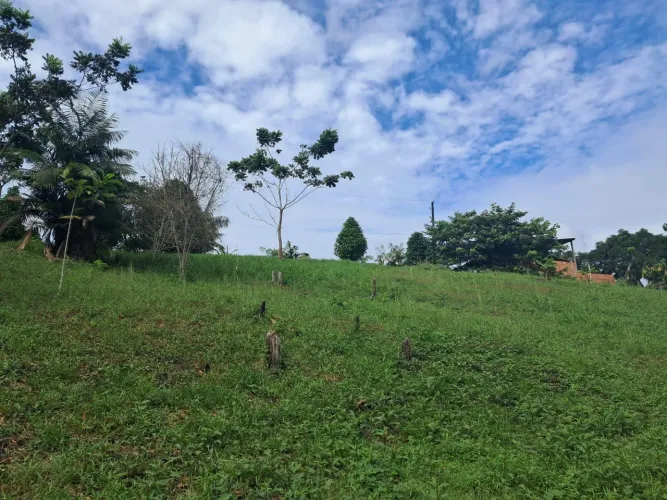 Sitio/chácara Rio P. Da Eva- LEIA ANÚNCIO!