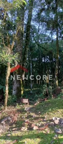 Lote em condomínio em ERS 466 - Sinoserra - Canela/RS