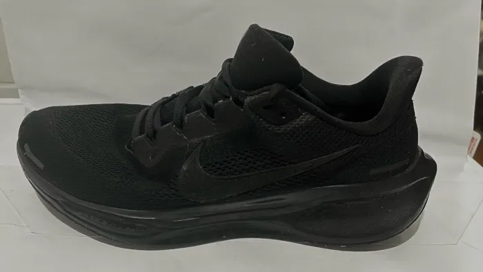 Nike Pegasus 41