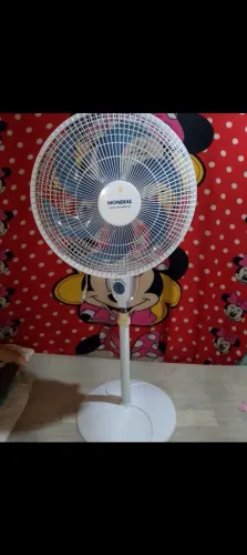 Tudo está sendo vendido a preços baixos devido a viagens.