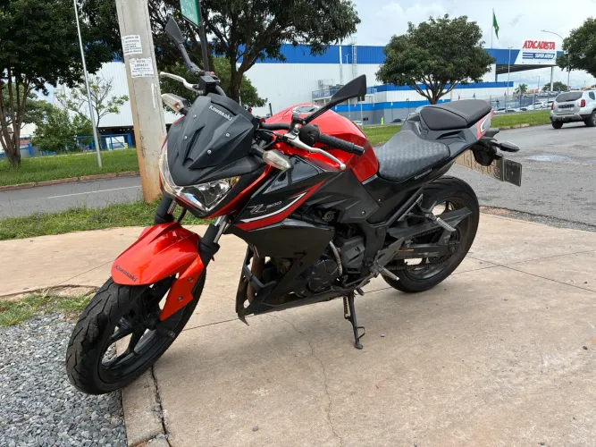 Z300 17/18