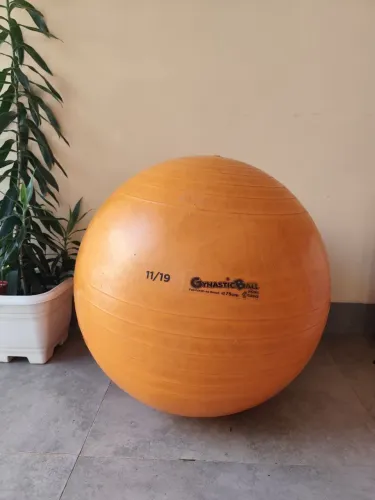 Vendo Bola de Pilates Grande