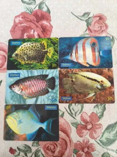 Lote 5 Cartões Telefônicos Antigos Telefónica - Série Peixes Ornamentais 