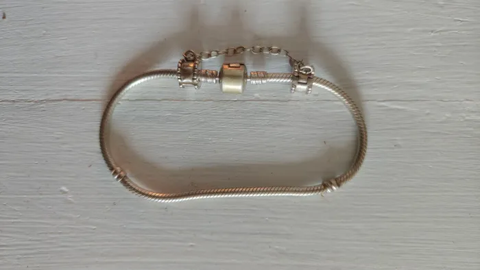 Pulseira de prata estilo Pandora tam19