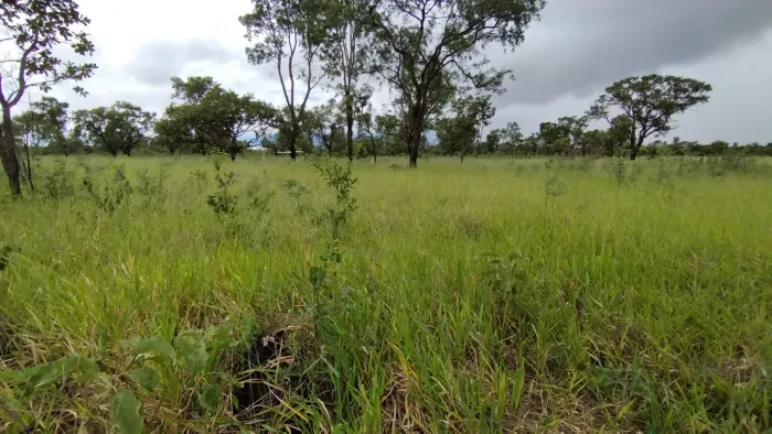 Chácara plana no Lago Norte com vista fenomenal de Brasília