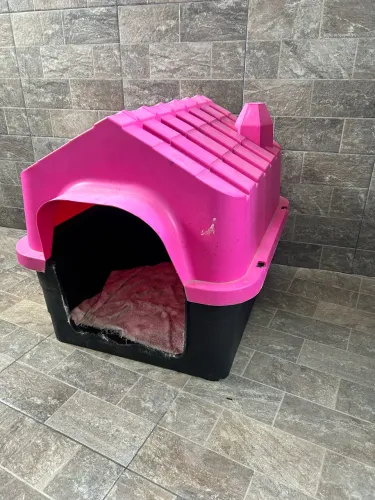 Casa de cachorro