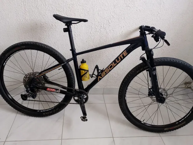 Bike absolut wild 2 29