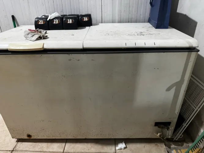 Freezer horizontal 110v