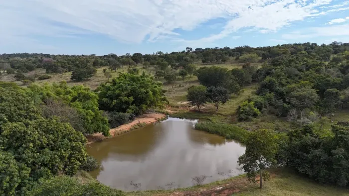 Fazenda a venda em Mairipotaba - Goiás!!!