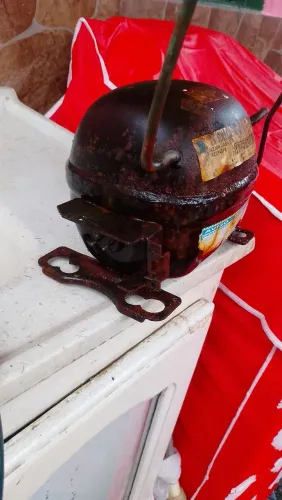Moto pequeno de bebedouro