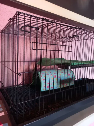 Gaiola pra Hamster