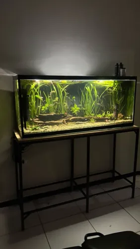 Vende-se Aquário 1.40 de comprimento 54 largura 60cm de altura. Tudo que está na foto