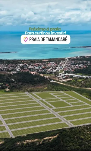 TAMANDARÉ ( Lote)