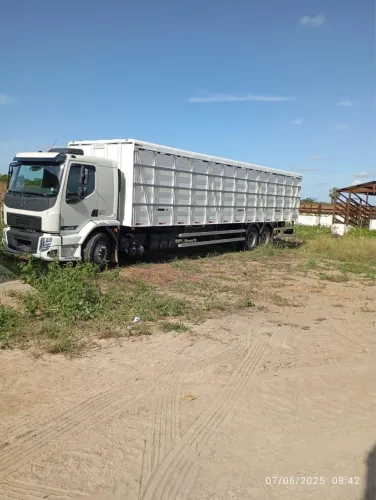 Volvo VM 290 6x2 R Boiadeiro 
