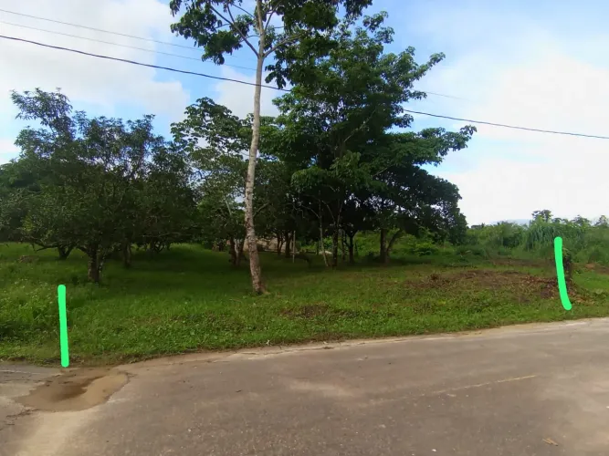 VENDE-SE ESTE TERRENO 12x36