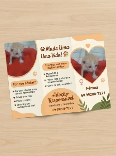Disponível para Adoção 