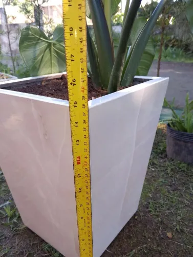 Vasos para plantas