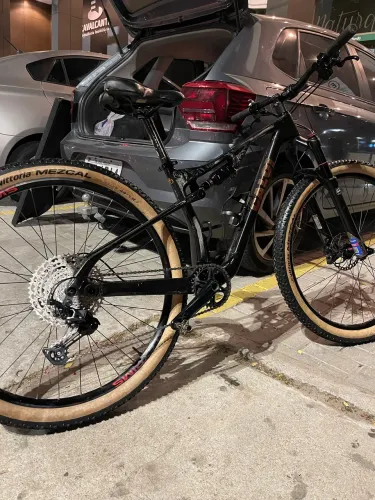 Caloi Elite Carbon FS