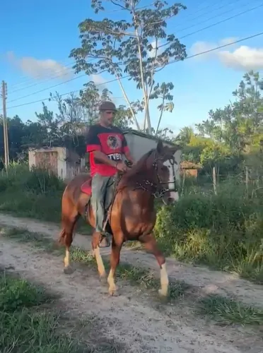 Linda égua mestica de MM com estrutura invejável. 