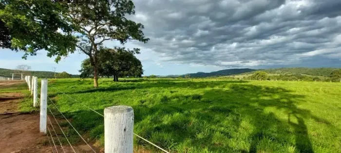 Fazenda a venda, em Jandaia - Goiás