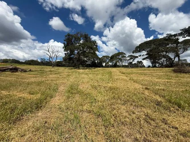 Terreno em itaguara 