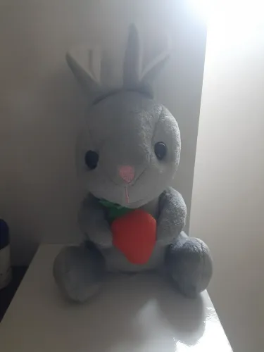 Coelho de pelucia 
