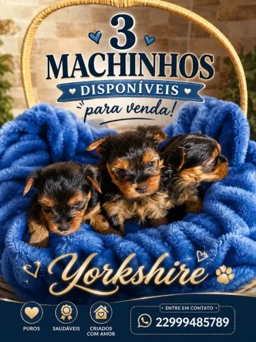 Yorkshire