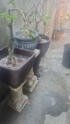 Vasos e Vidro