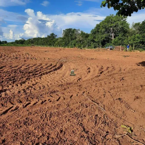 Fazenda à venda 2 Quartos, 10 Vagas, 242M², Centro, Cocalinho - MT
