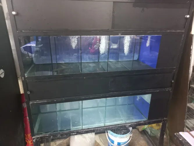 Bateria de aquarios