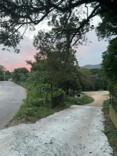 Casa para locação no centro de Colombo