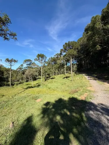 Terreno 2 hectares com cachoeira em Urubici - SC