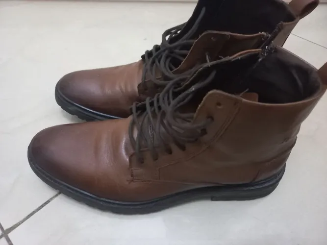 Bota