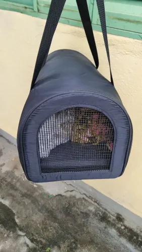 Bolsa de transporte animal
