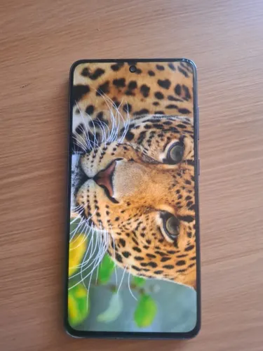 Samsung Galaxy S21 FE 256GB  boa tela, provável bateria inchada (leia)