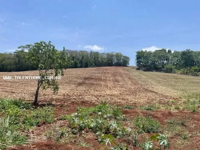 Área Rural para Venda em Uraí, RURAL
