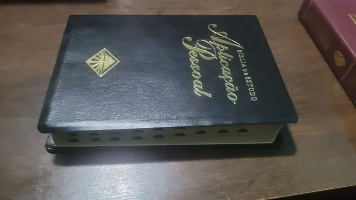 Biblia de estudo Aplicação pessoal grande com índice