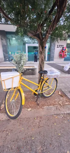 Vendo Bicicleta Cargueiro
