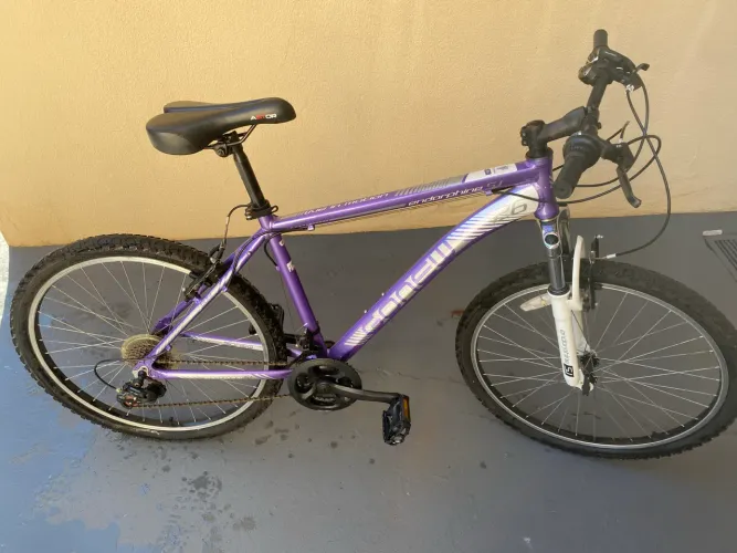 Bicicleta