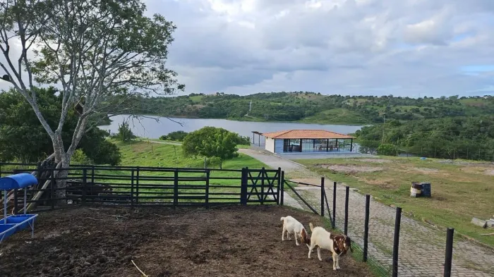 Localização privilegiada venda chácara ficar na Ilha ? de São Gonçalo Dos Campos 