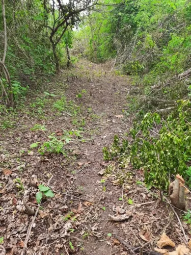 Área em Alagoa Grande com 22,5 hectares!!! (Oportunidade)