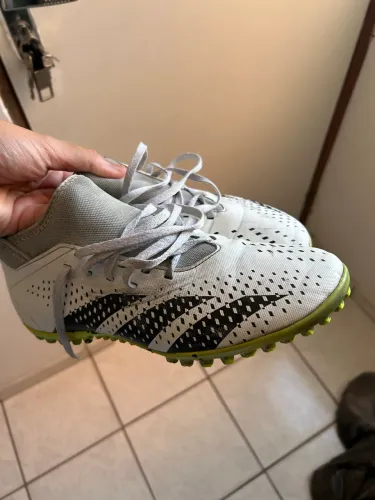 Chuteira society adidas Predator 